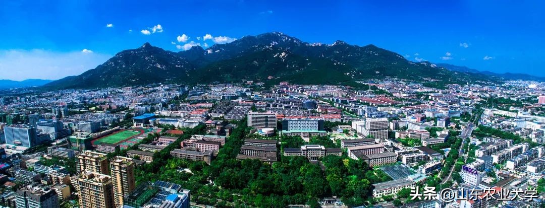 生日快乐！一起为山东农大“非凡十年”点赞