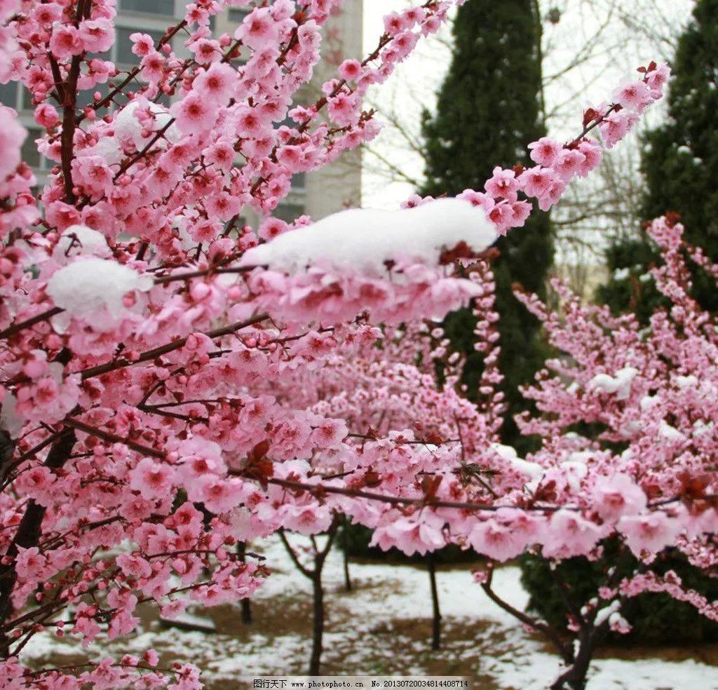 父母与孩子之间的代沟如何解决,父母子女代沟