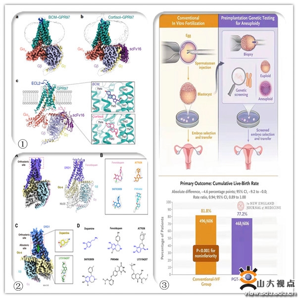2021寒假最难忘的一件事,2016我们的n个感动瞬间