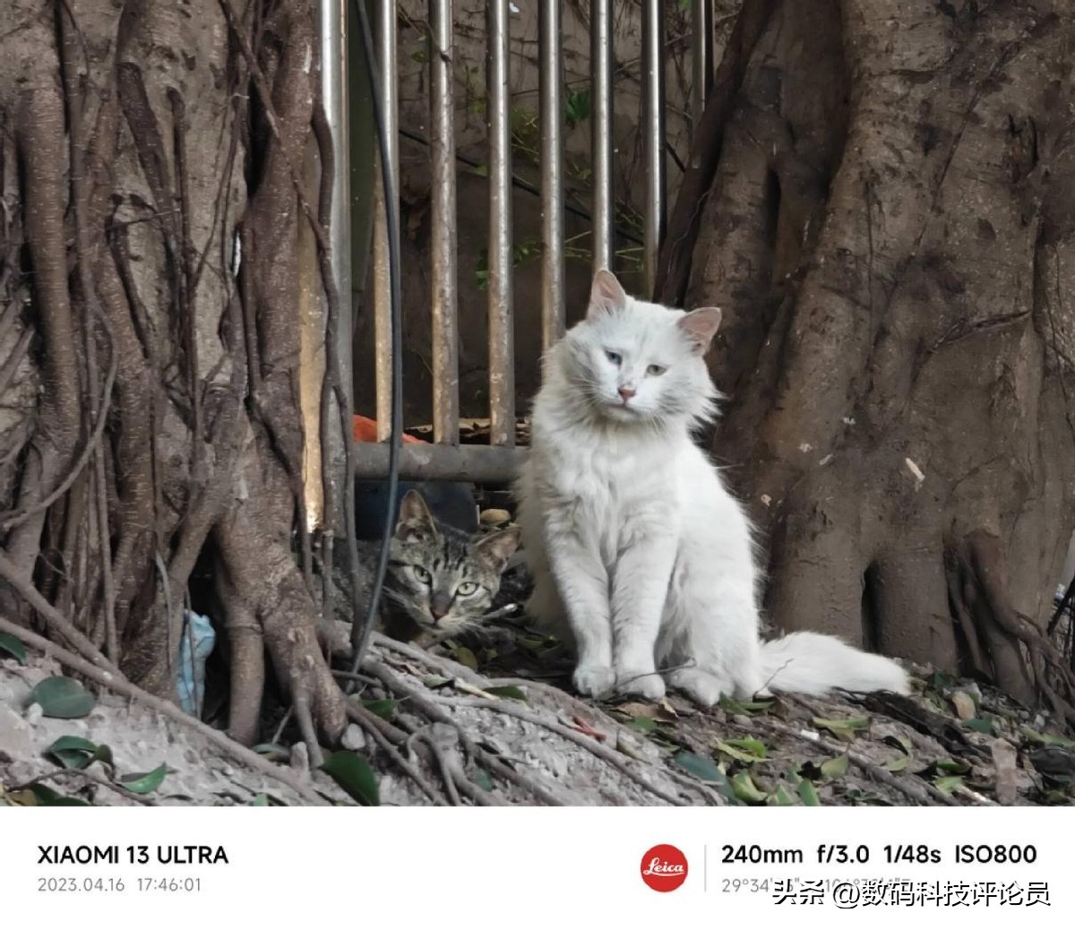 超微距镜头小米13ultra,超越小米13ultra影像