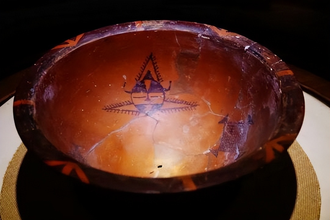 陕西博物馆参观攻略,陕西自然博物馆游玩攻略