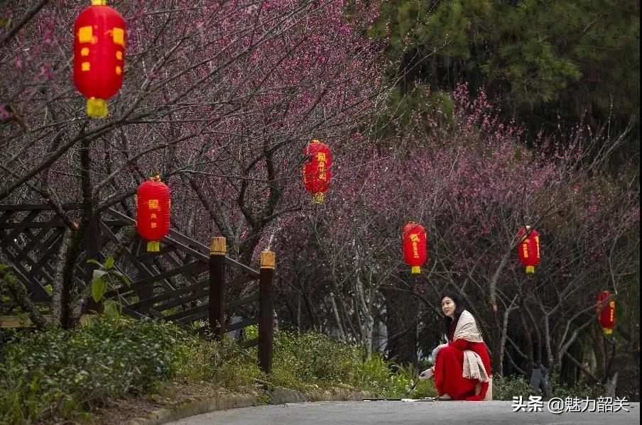 翁源江尾镇年味,翁源兰韵飘香
