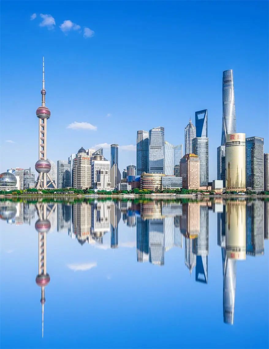 超级鲶鱼效应,超级巨型鲶鱼