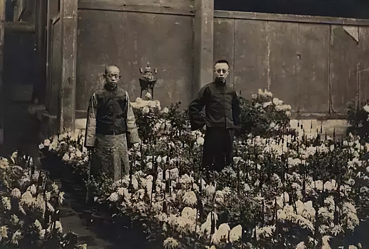 07年清宫3吨重“龙床”现身,专家称来历不简单,收藏者:5亿就卖