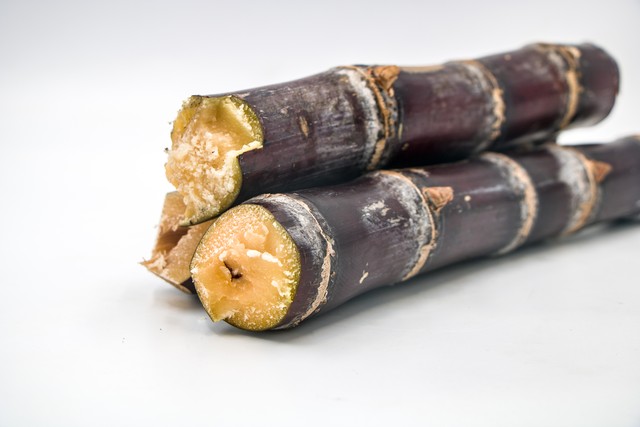 清明甘蔗毒过蛇霉变甘蔗不可食,四月蔗毒过蛇有科学依据吗