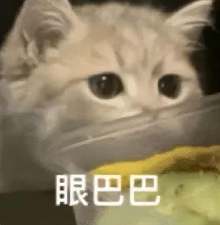 郑州室内旅游攻略必去景点,郑州景点室内游玩攻略