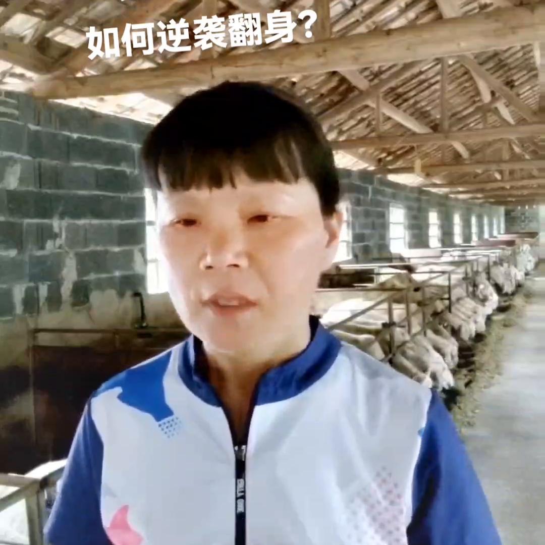 普通七O后负债三位数如何翻身逆袭小胡竹羊#三农