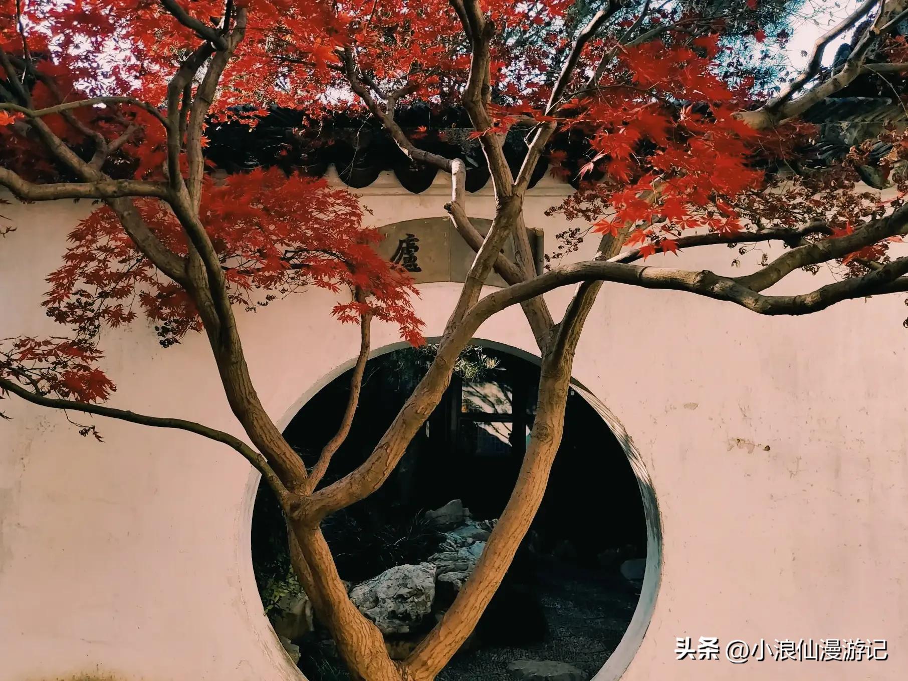 苏州天平山赏枫品茶的句子,苏州赏枫除了天平山还有哪