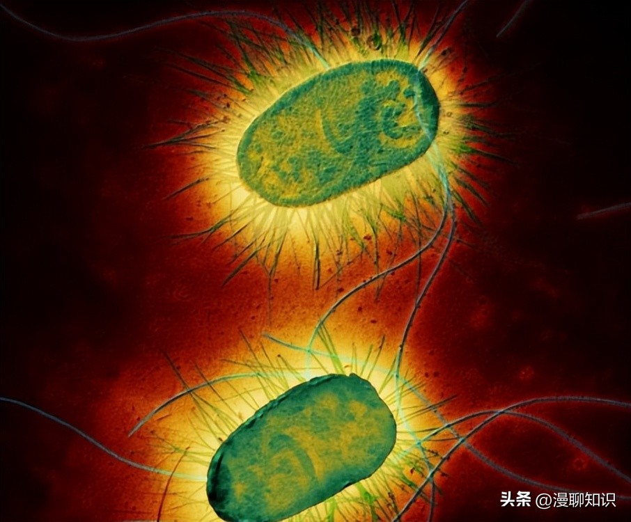 妇阴康洗剂效果怎么样,妇阴康洗剂是抗生素药吗