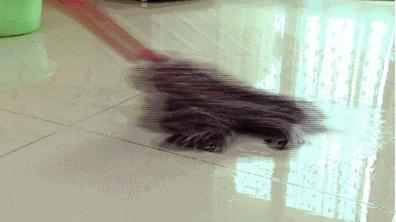 拖完地总是有水渍印怎么办,拖完地有水渍怎么处理