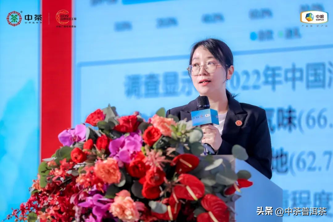 中茶普洱茶经销商信息大会,中茶2024年经销商大会