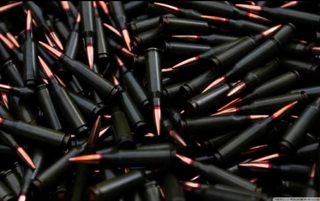 中国军用枪械m4a1,hkg36c突击步枪和m4a1