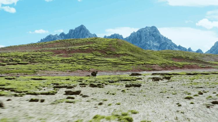 15部豆瓣9.0以上高分记录片,五部必看的高分电影国庆在家就看