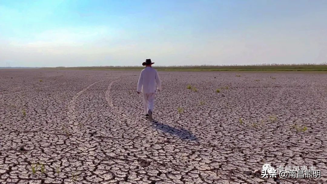 鍏竴鍎跨鑺傚叞鑺辫崏,鍏竴鍎跨鑺傜尓绗艰崏