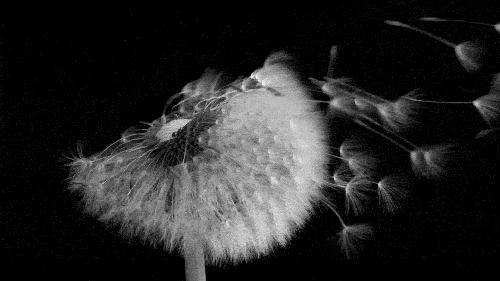 如何挑选羽绒被填充物,家纺专家如何挑选被子