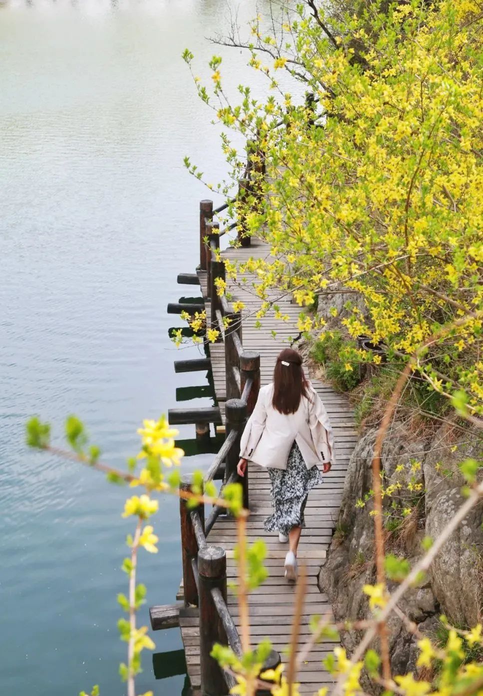 济南旅游公交专线有哪些 (济南近郊公交直达的游玩场所)
