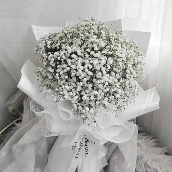 盘点各种花的花语还不快收藏起来,不常见的花的花语