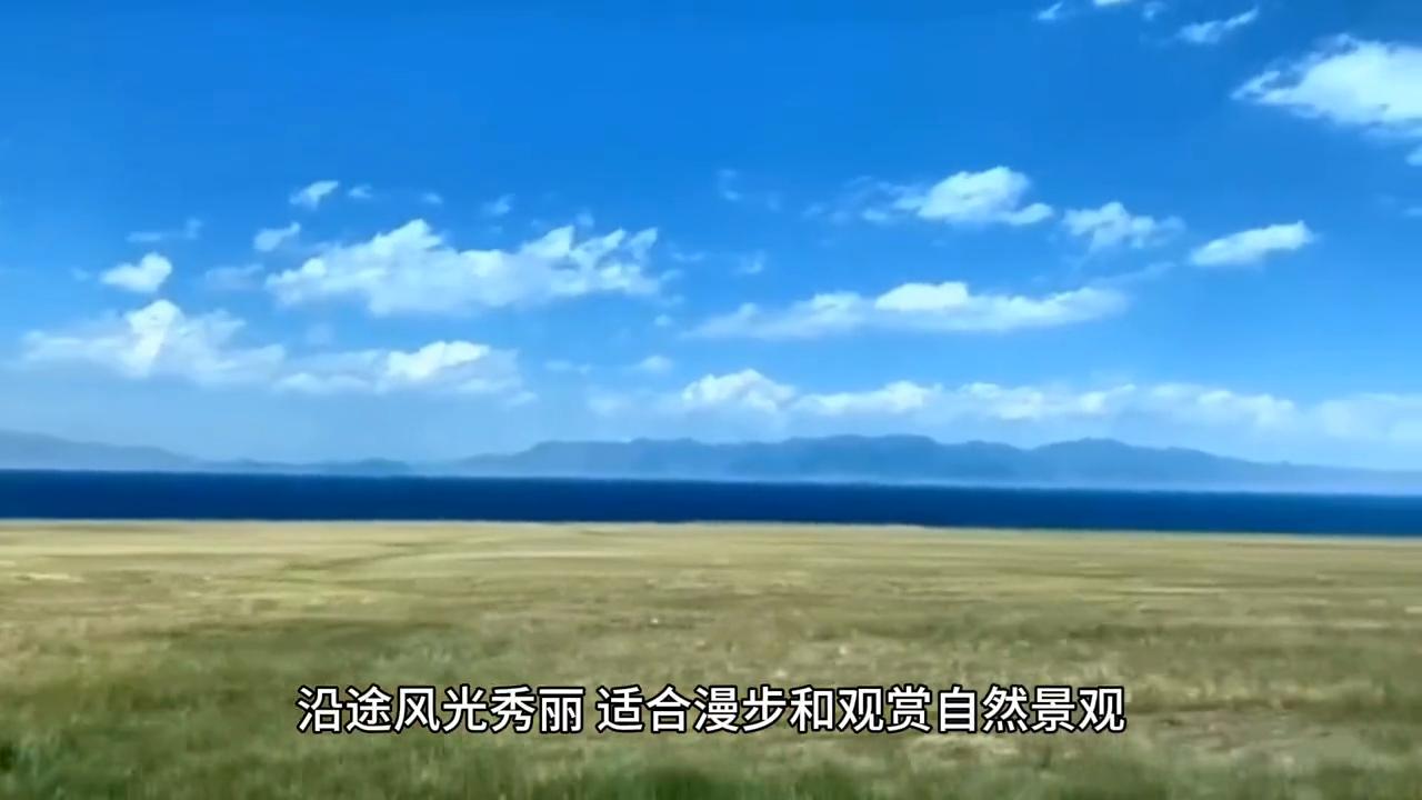 青海湖景区有什么好吃的,青海湖附近买特产