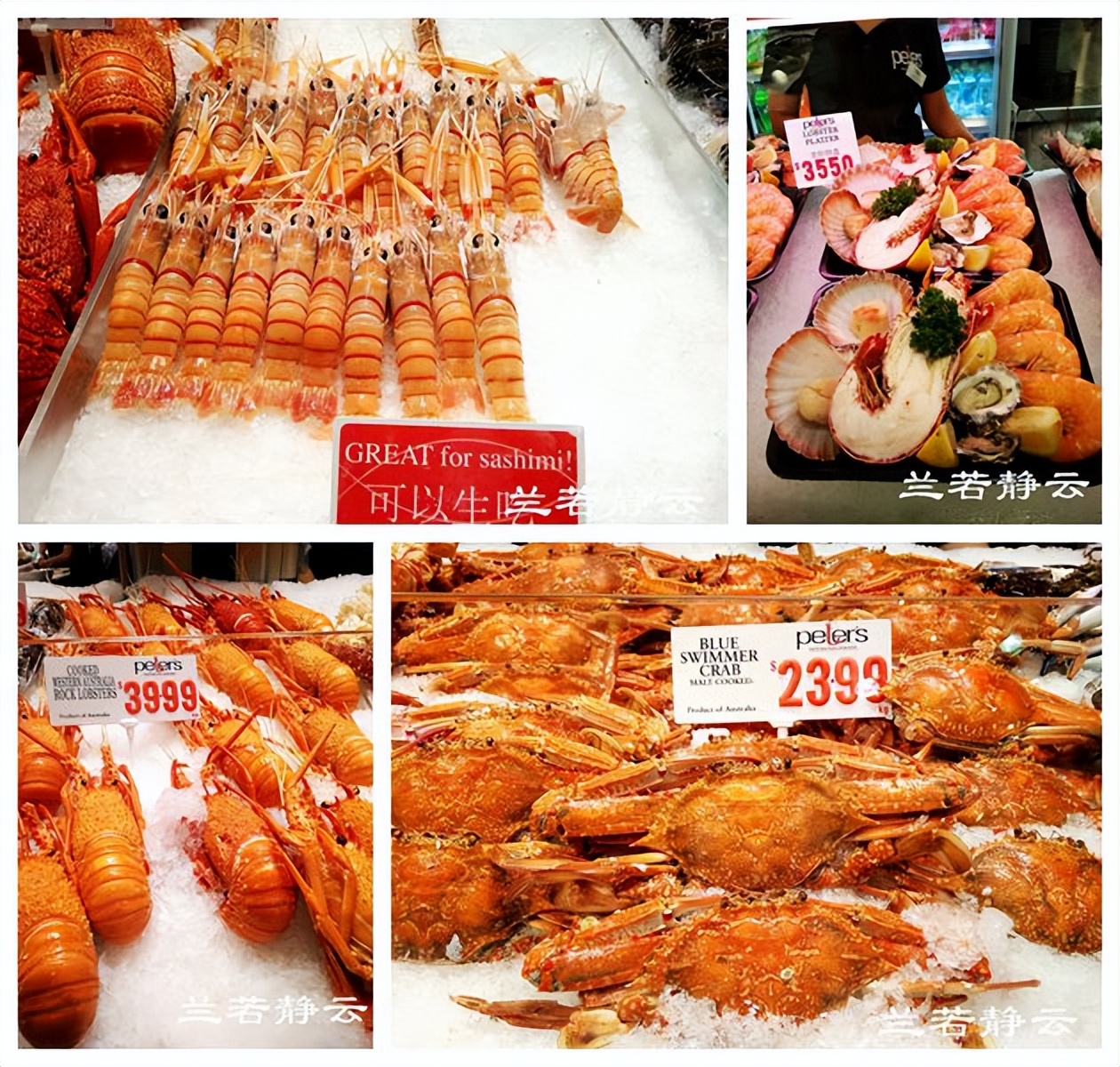 悉尼最大的海鲜鱼市场在哪里,海鲜市场澳洲龙虾
