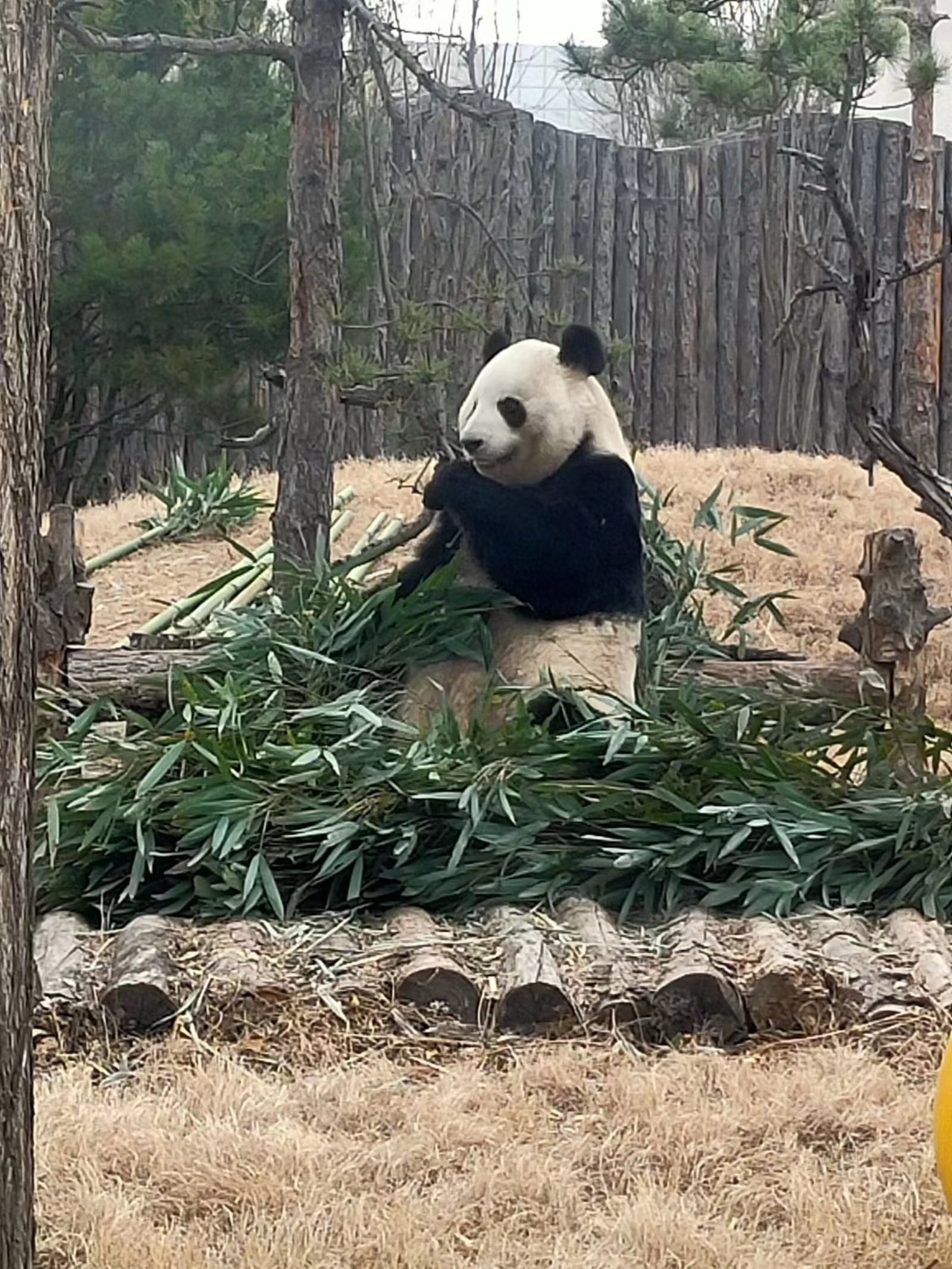 唐山重点暖企惠民政策,唐山惠民中心