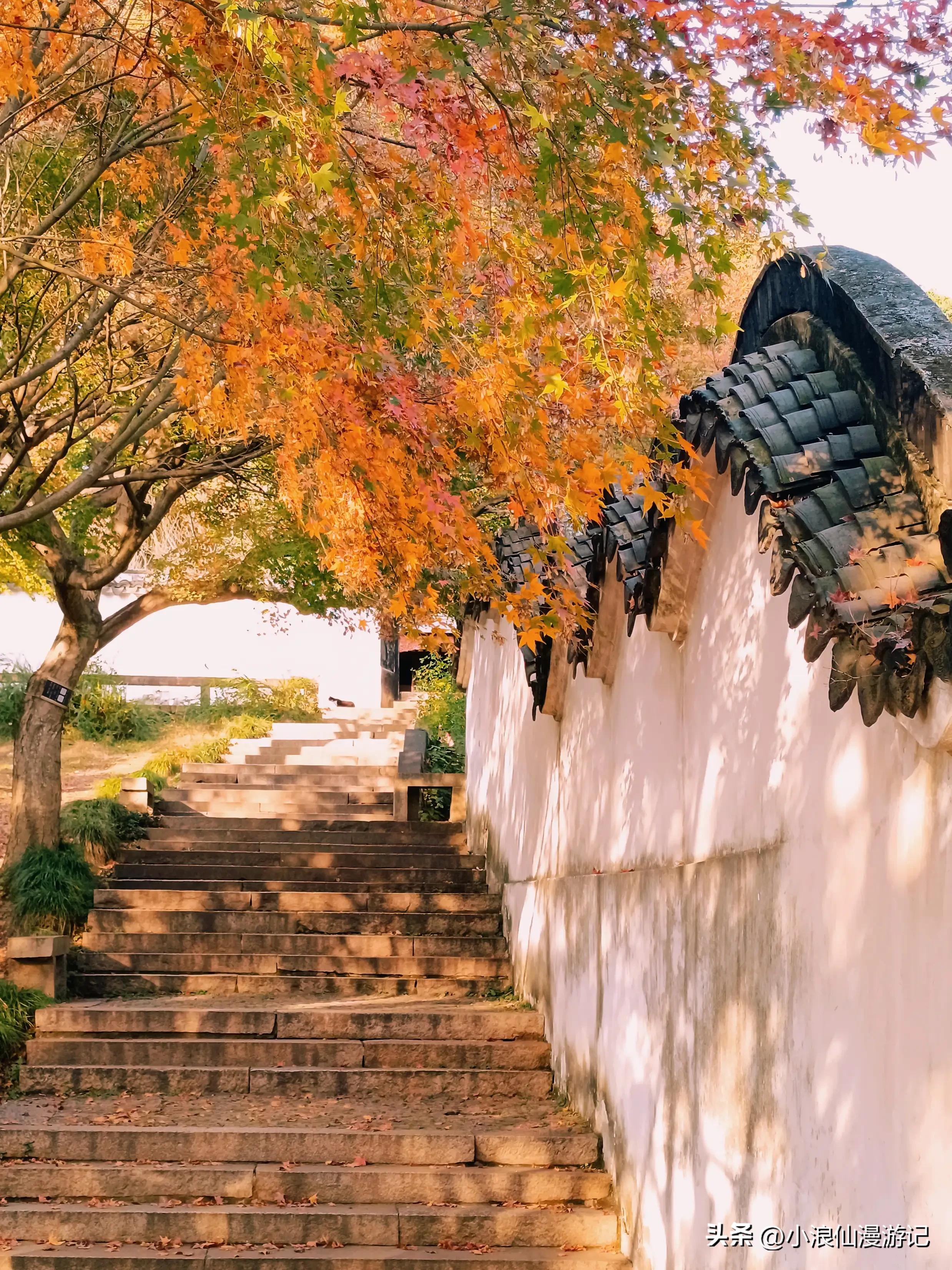 苏州天平山赏枫品茶的句子,苏州赏枫除了天平山还有哪