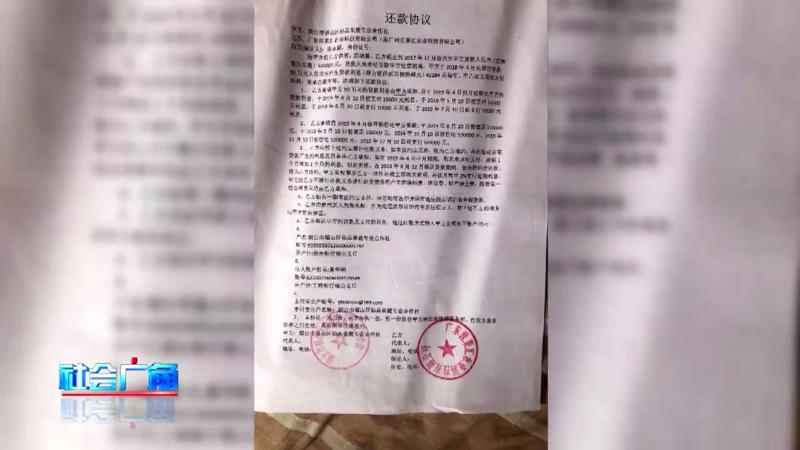 村里来了大老板？拿走50万樱桃不给钱！