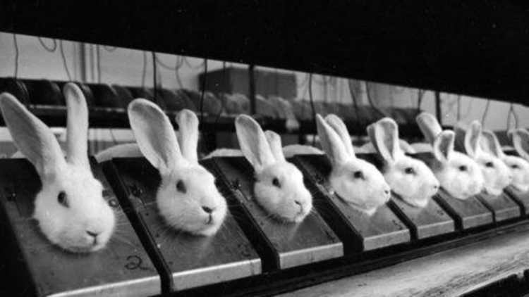 古人啪啪啪后，怎么知道中没中？