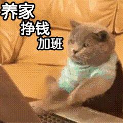 高端英文名外国人推荐,出国留学适合用的英文名