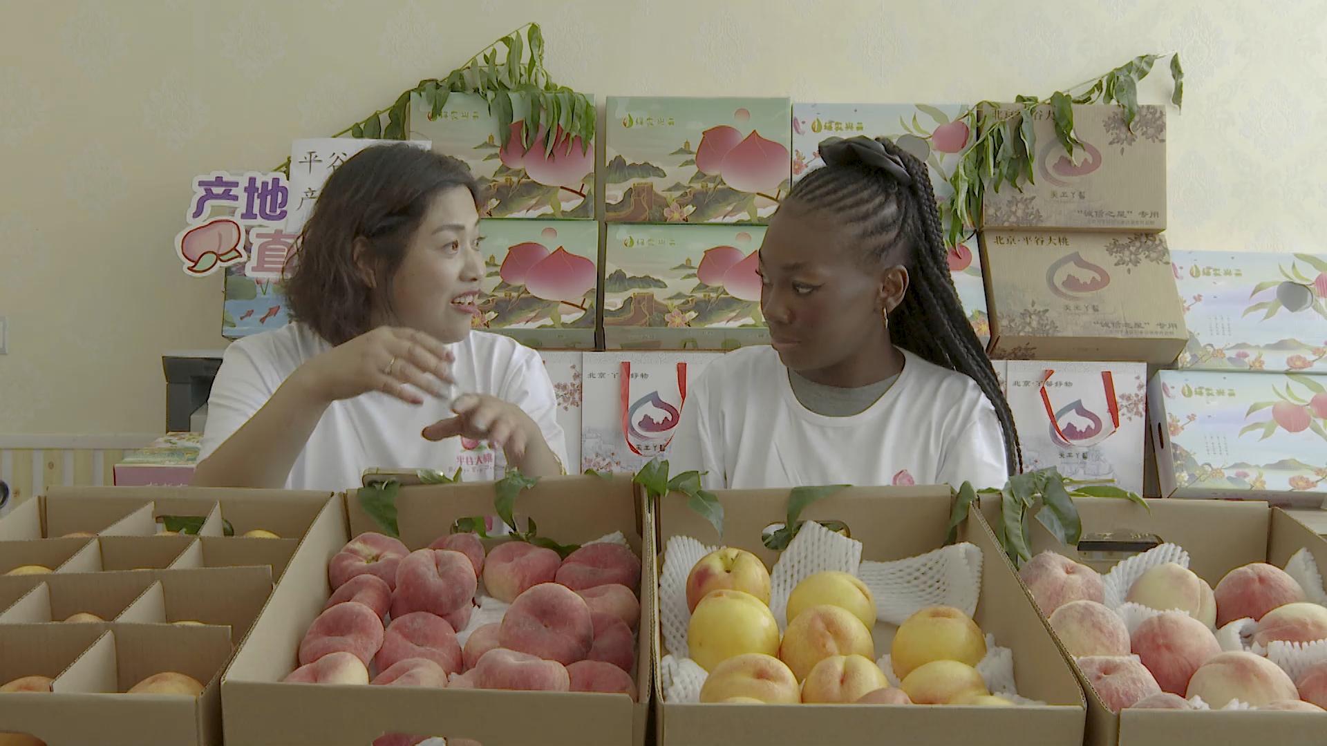 四达时代首档乡村体验真人秀带领非洲观众近距离感受中国乡村振兴