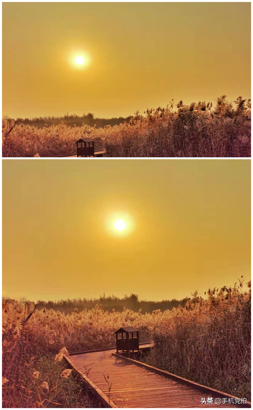 手机拍美景怎么拍,手机拍照片怎么拍风景好看