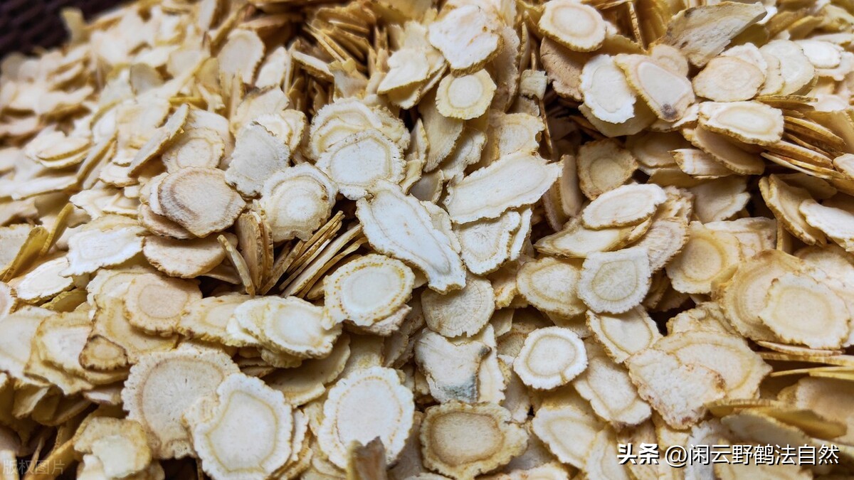 西洋参养生茶提高免疫力,西洋参可以调整免疫系统