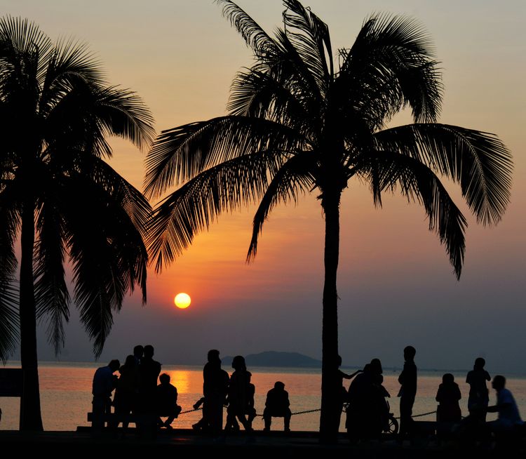 黄梅悠悠胡琴说原唱完整版,悠悠琴韵谱