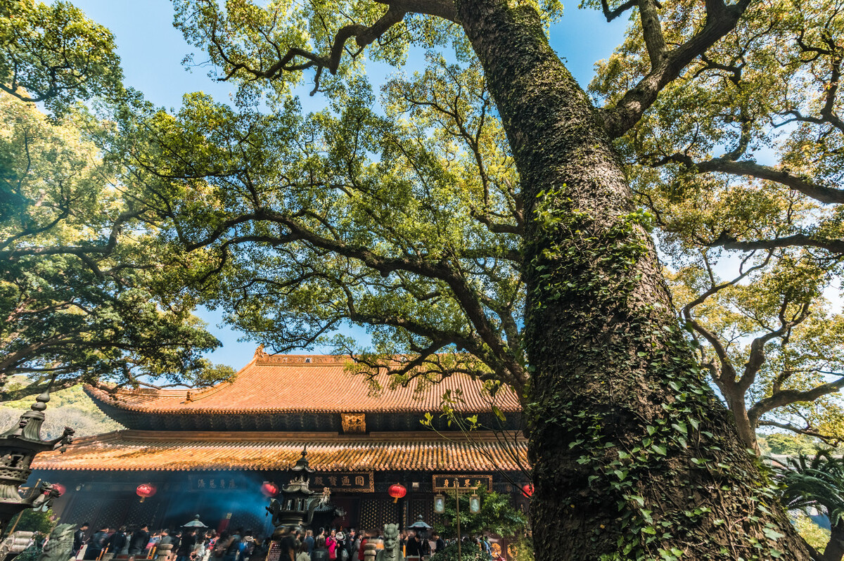 中国十大佛教名山排名图片,四大佛教名山哪个人气最大