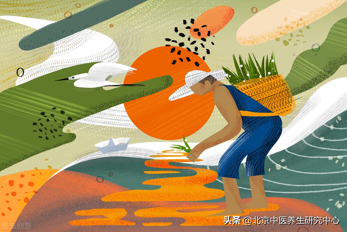 肠道养护,肠道护理的方法