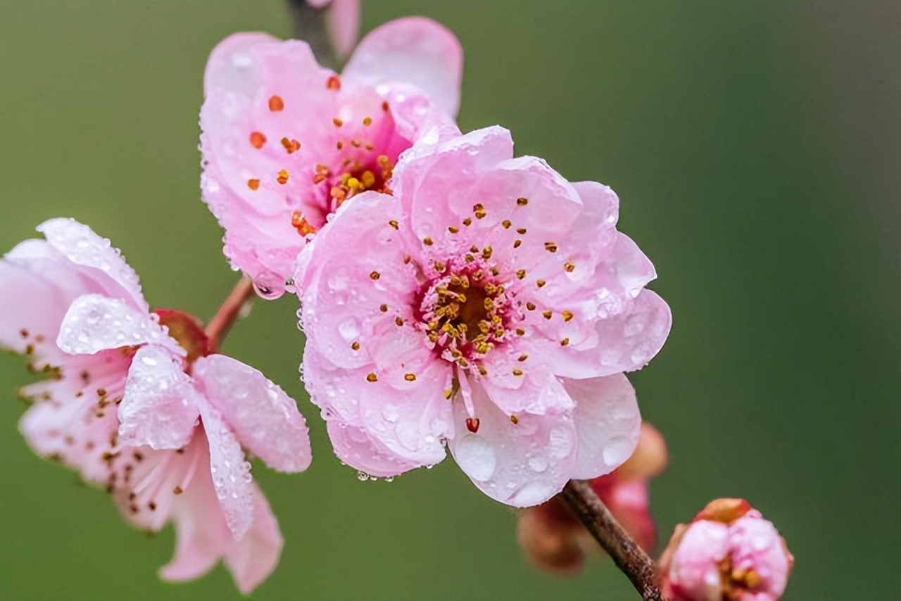 女人要想幸福必须记住这四点,女人要想幸福一定要做到这3点