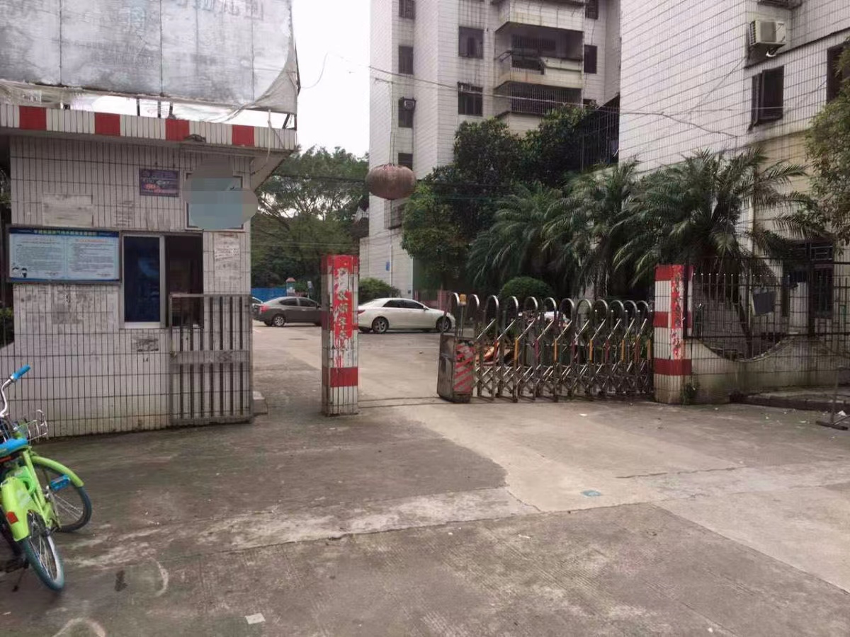 我在农村能干什么挣钱,摆摊卖干果生意的盈利模式