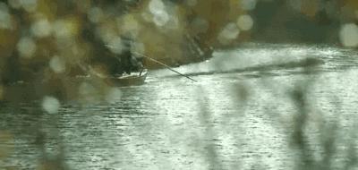 杭黄高铁到黄山景区,杭黄高铁宁波到黄山