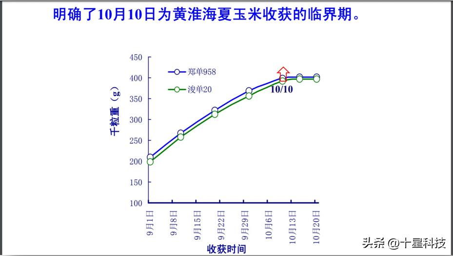 安保丰®京科627:黄淮海的夏玉米,可以随意对比