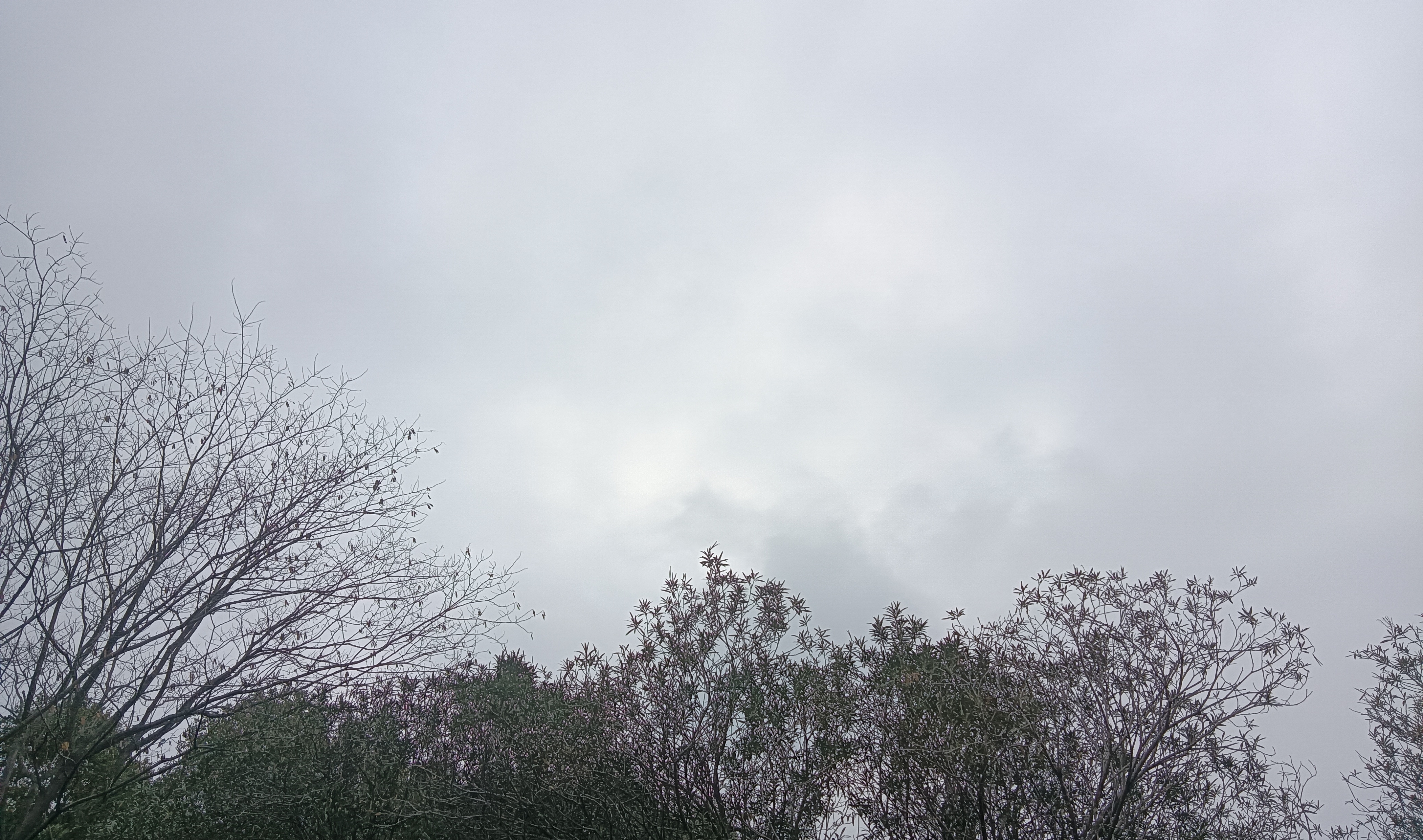 教师绩效工资按年发,教师奖励性绩效工资发放流程