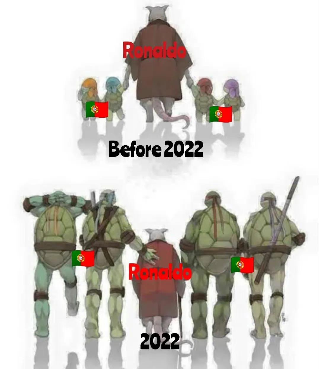 这届世界杯c罗经历了什么,世界杯球星c罗简介