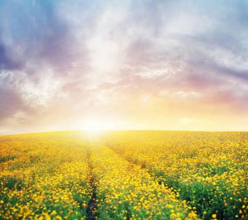 兴趣是最好的老师作文记叙文,兴趣是最好的老师高中作文800字