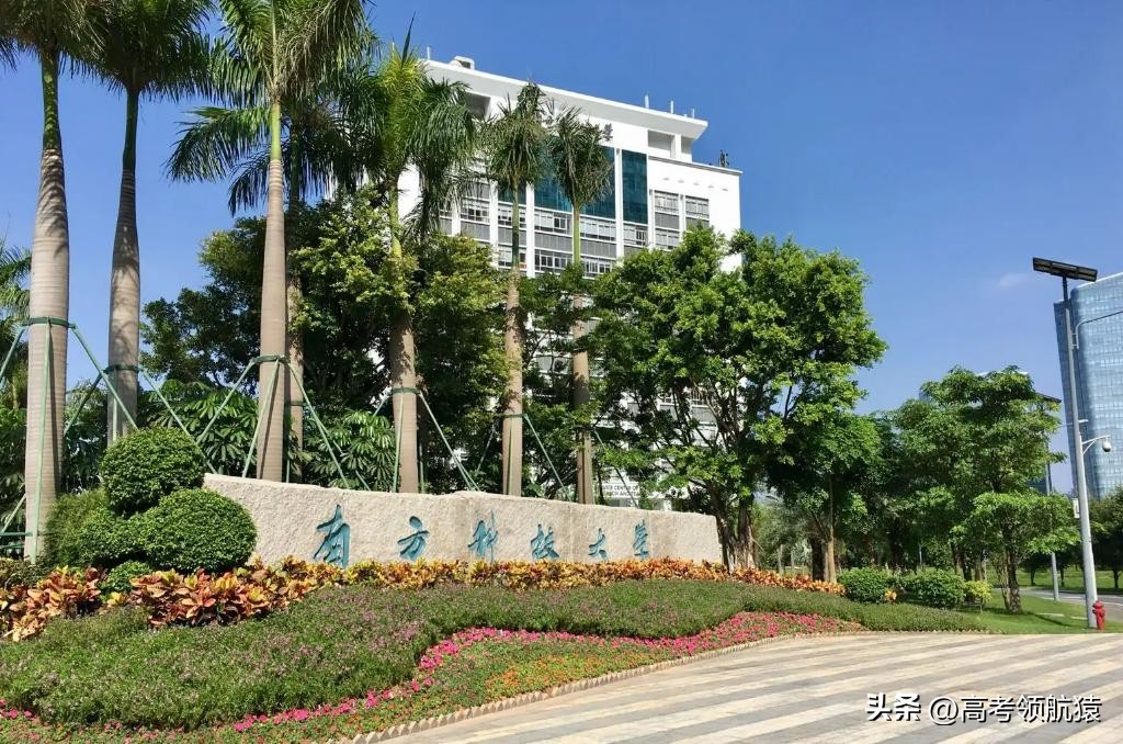 张雪峰讲深圳南方科技大学完整版,南方科技大学张雪峰评价如何