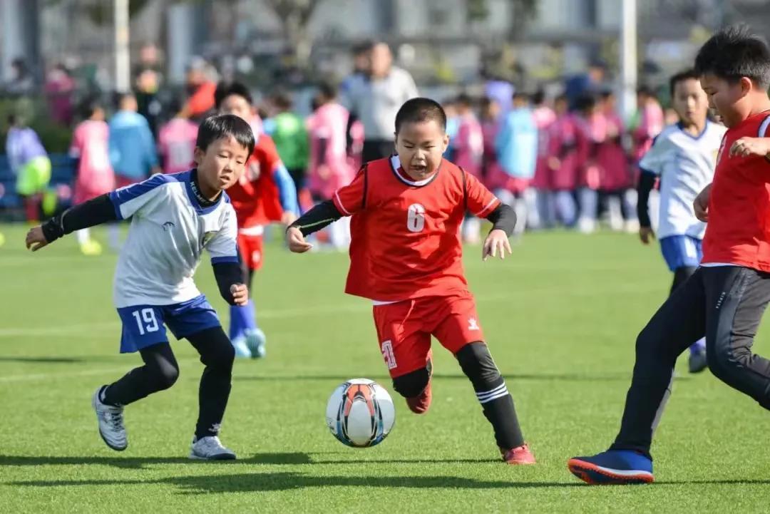 中国足球反腐突破口,中国足球反腐阵容