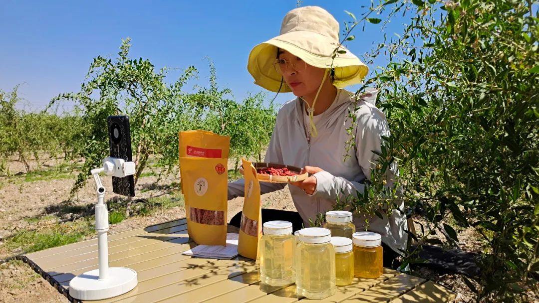 致富带富好*党**员魏家娟:绿色循环种养殖网络销售助增收