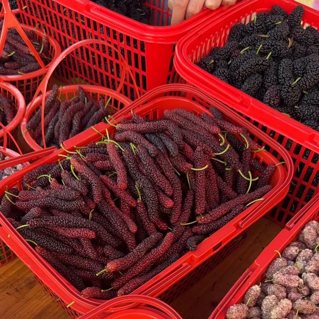 宝宝日常vlog快乐很简单,高质量精致带娃生活vlog