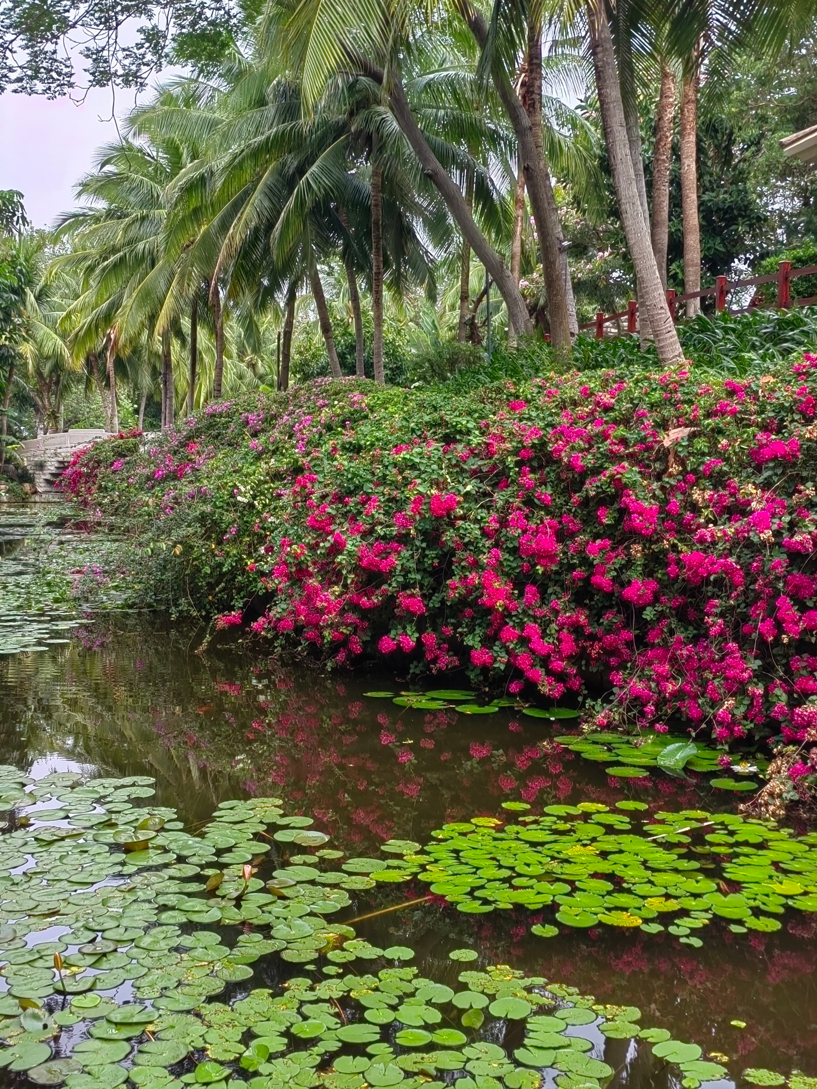海南自驾环岛游攻略三亚出发,成都自驾海南环岛攻略路线