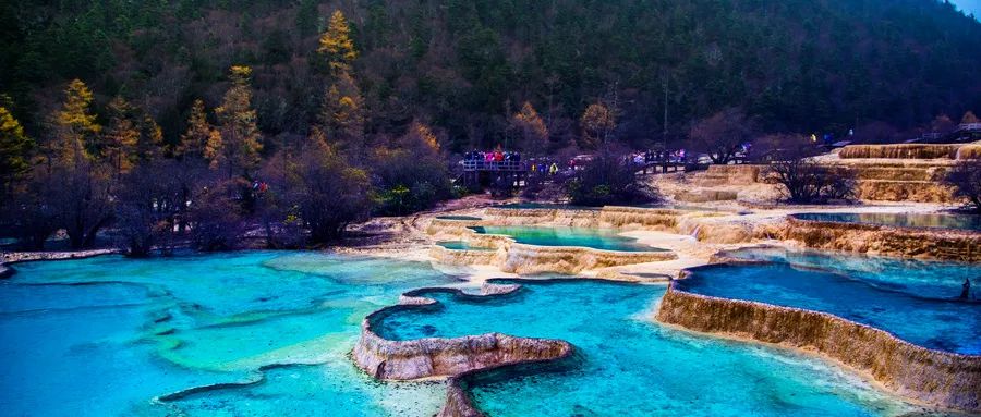 黄山龙年属龙免费的景点,名字里带龙和属龙的免费旅游景区