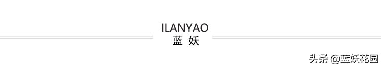 狐尾天门冬顶端黄叶是什么原因,狐尾天门冬黄叶掉落还可以救活吗