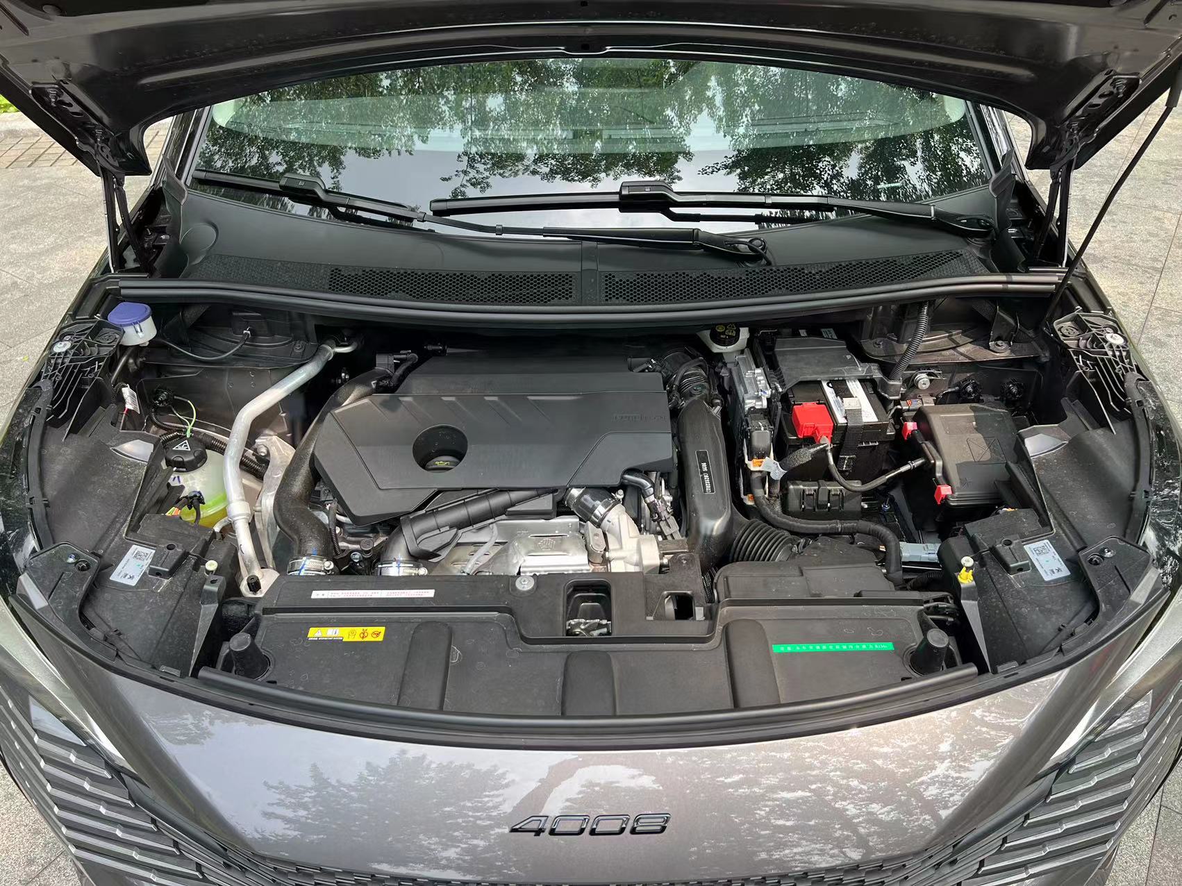 盾牌黑底狮子的车标,盾牌狮身车标