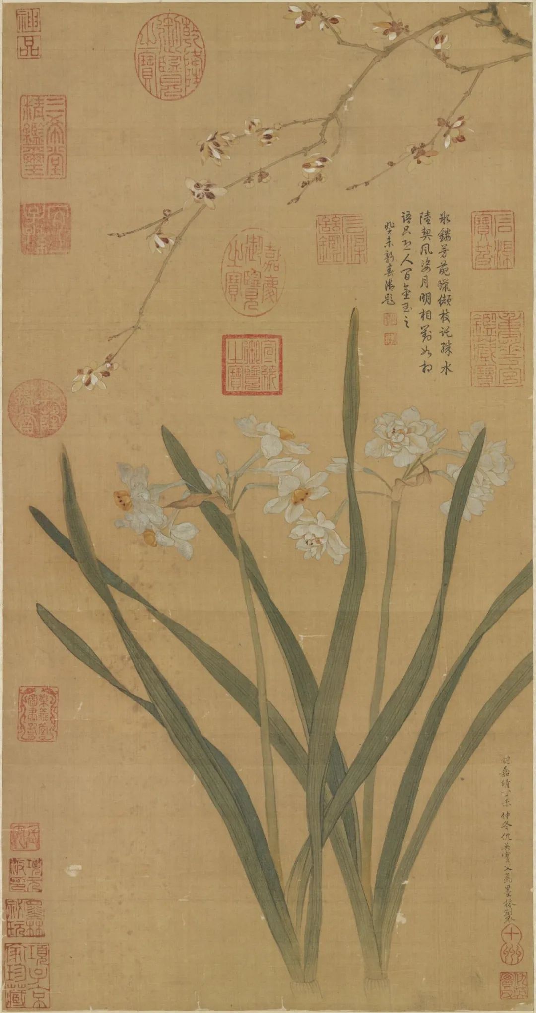 慕容看世界的视频,慕容看世界所有视频